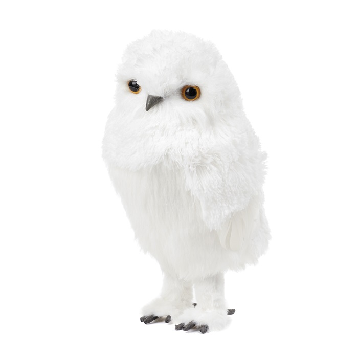 Furry facing front snowy owl TT