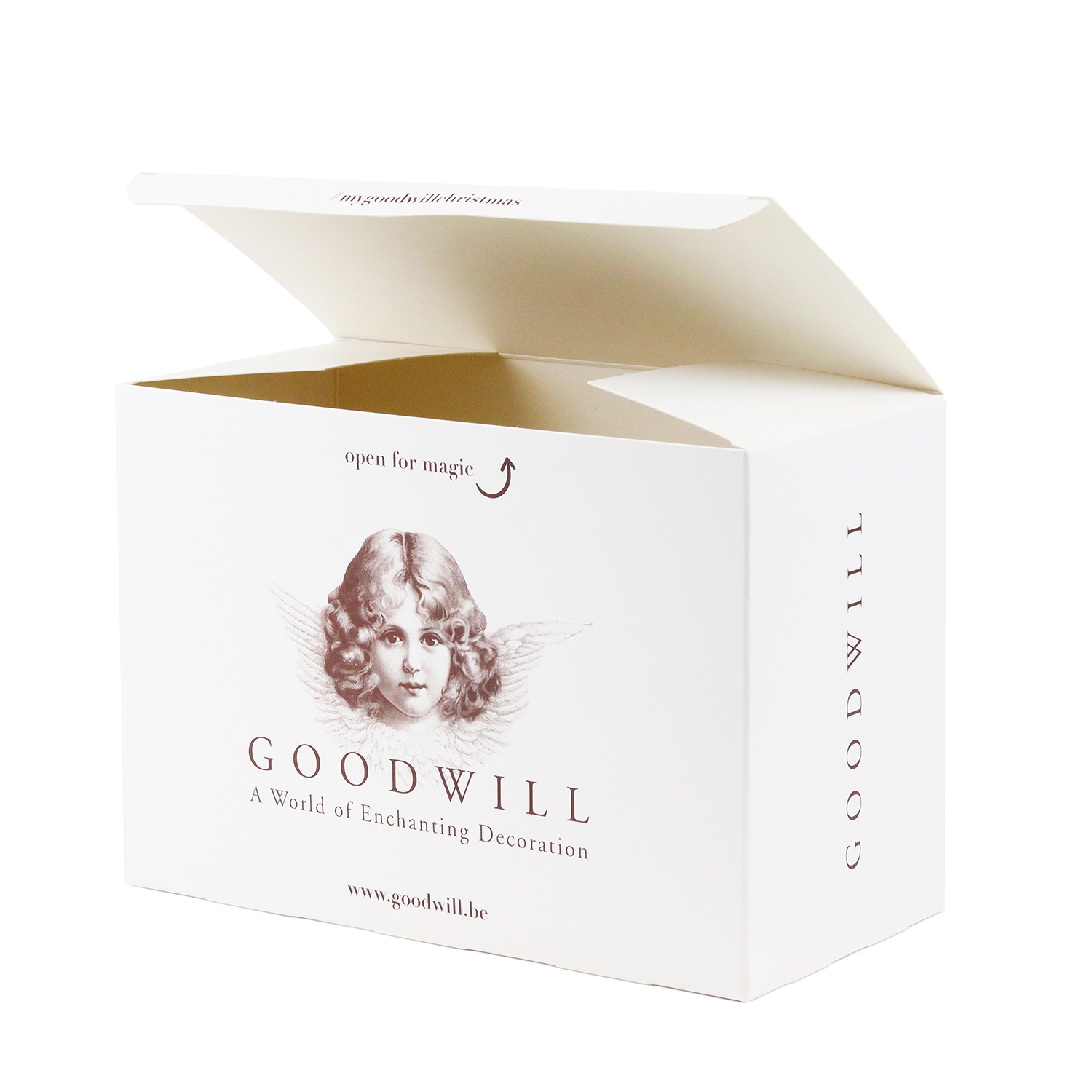 Goodwill gift carton (medium)